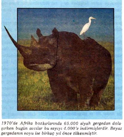 kas89