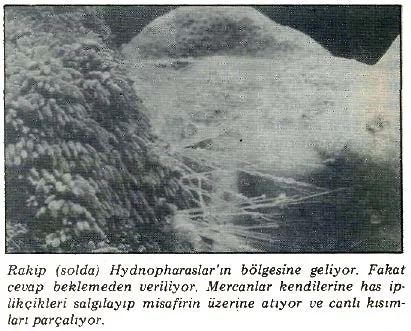 kas89