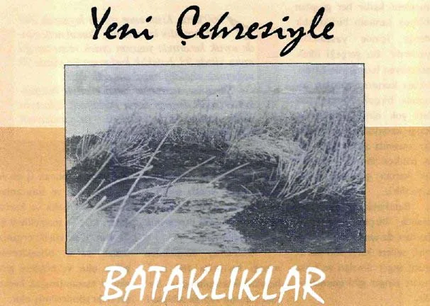 kas89