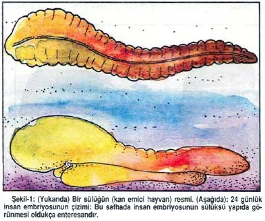 mar92