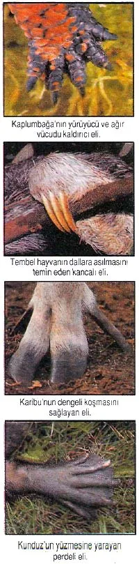 mar92