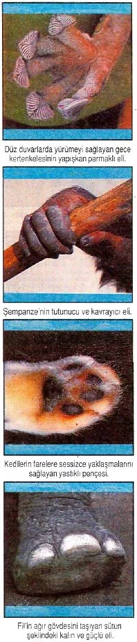 mar92