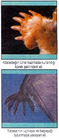 mar92