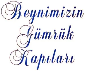 nis92