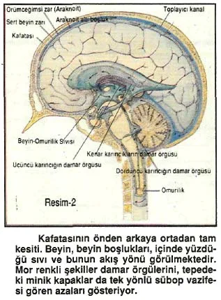 nis92