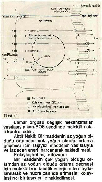nis92