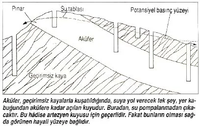 haz92