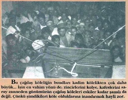 haz92