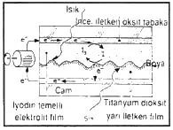 haz92