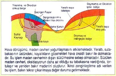 haz92