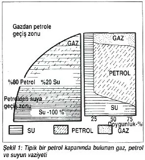 tem92