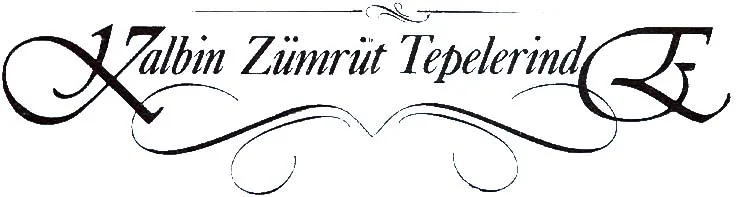 tem92