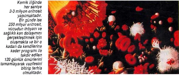 agu92
