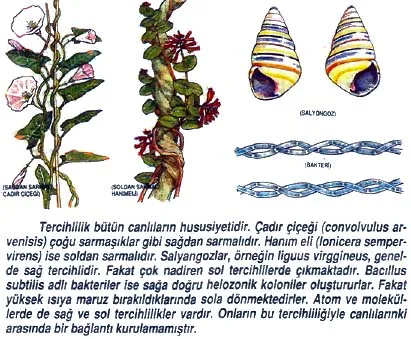 agu92