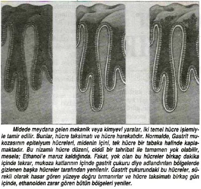eyl92