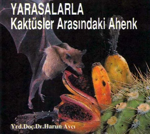eyl92