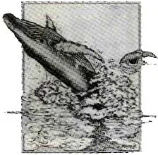 eyl92-44.jpg