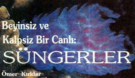 eyl92