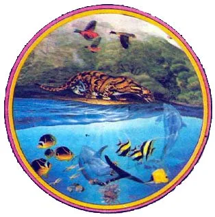 kas92