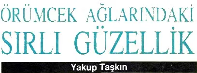 kas92