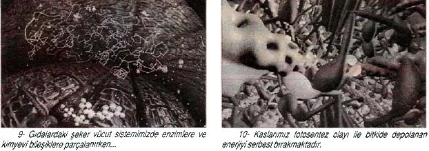 oca93