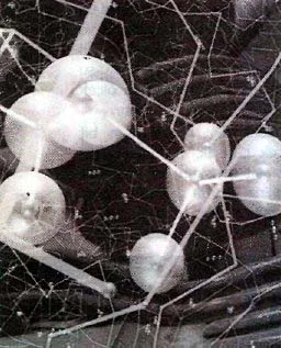 oca93