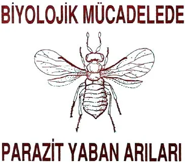oca93