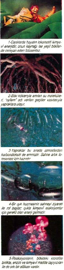 oca93