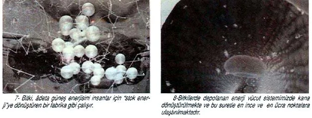 oca93