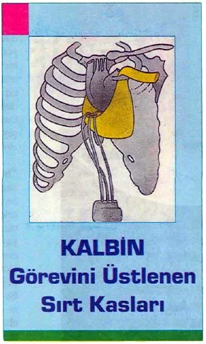 mar94