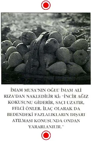 mar94