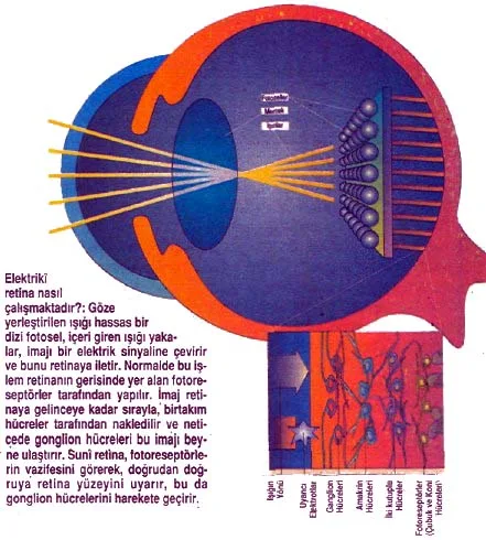 mar94