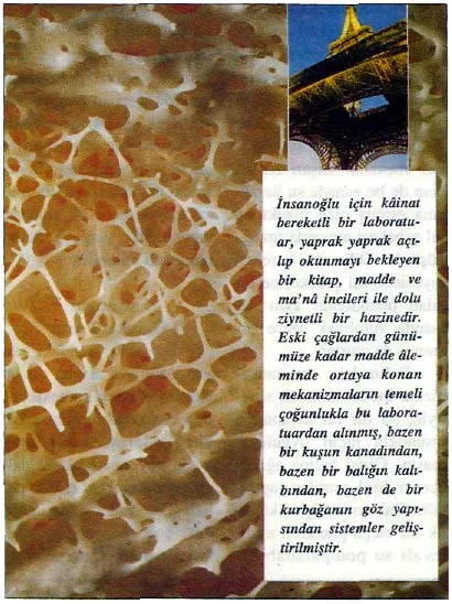 nis94
