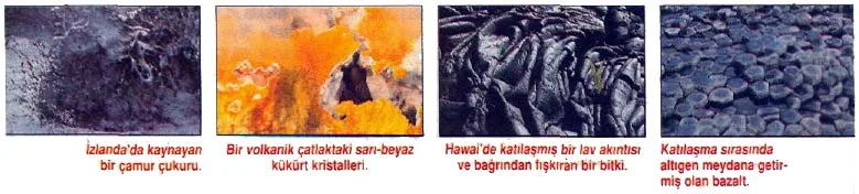 nis94