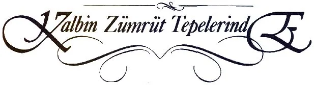 tem94