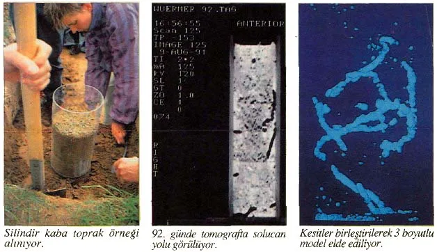 tem94