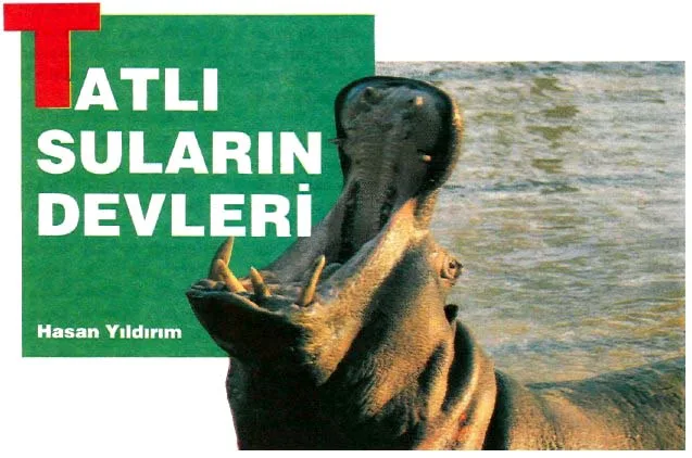 tem94