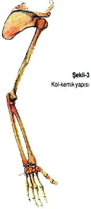 agu94