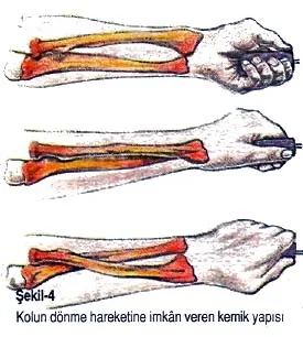 agu94