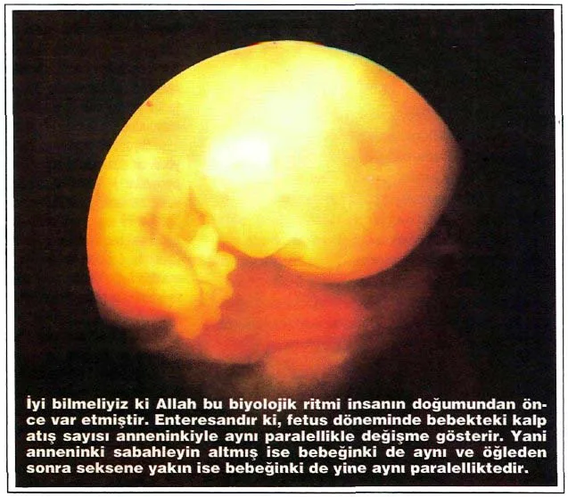 agu94