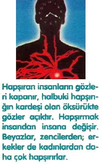 eyl94
