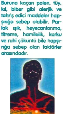 eyl94