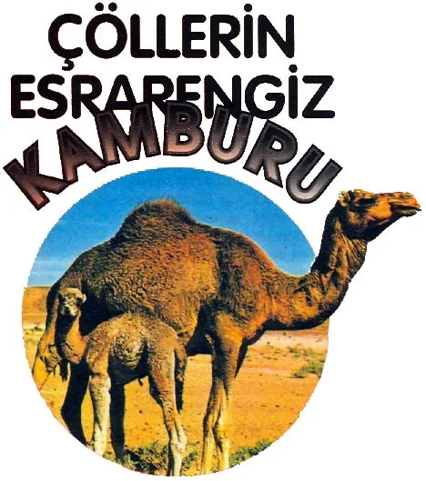 kas94