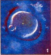 kas94