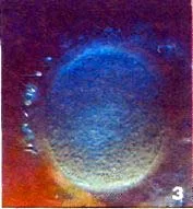 kas94
