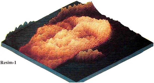 ara94