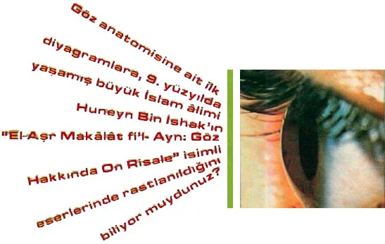 ara94