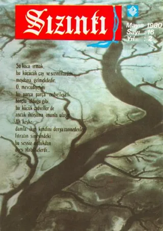 Mayıs 1980