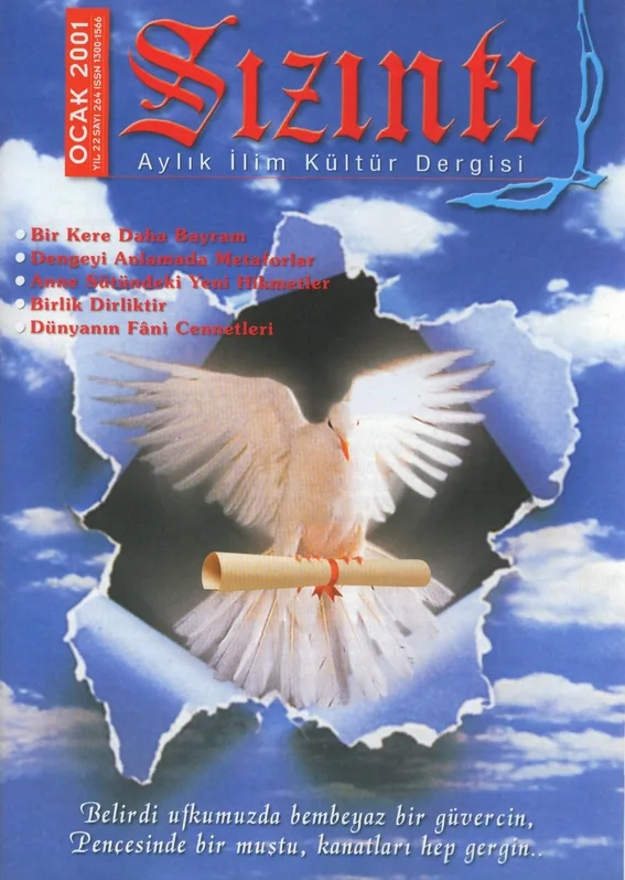 Ocak 2001, Ön kapak