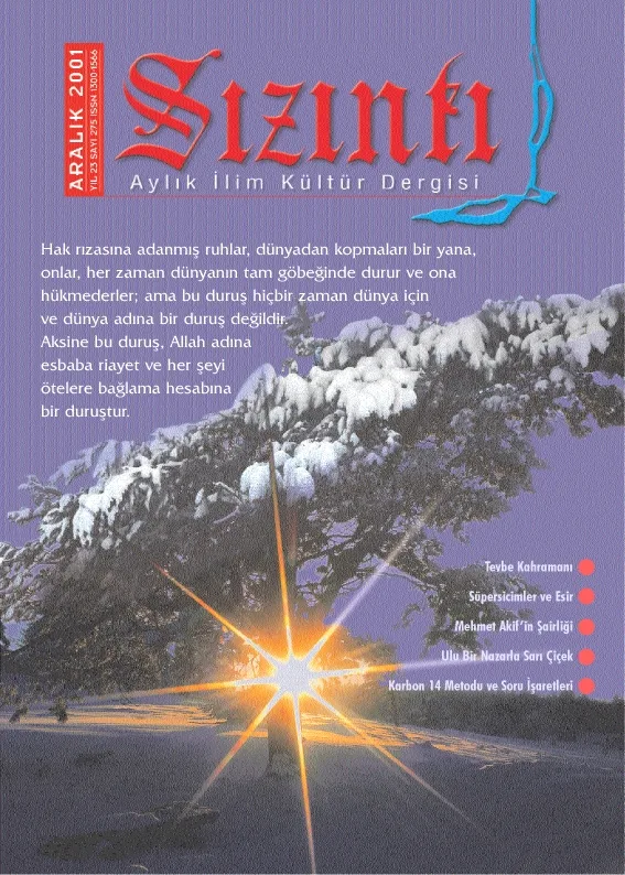 Aralık 2001, Ön kapak